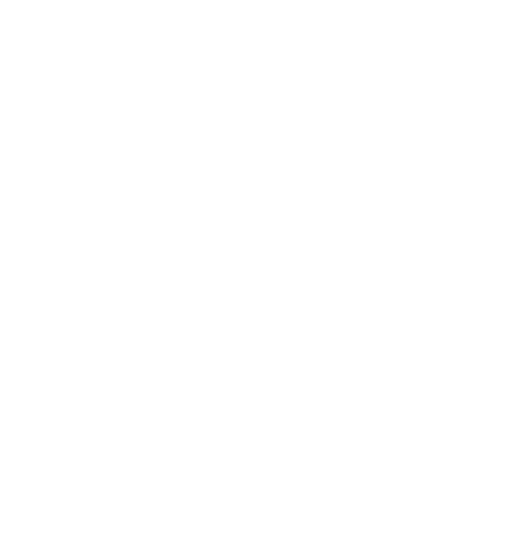 Veer - the chameleon mark, as printed on the tee